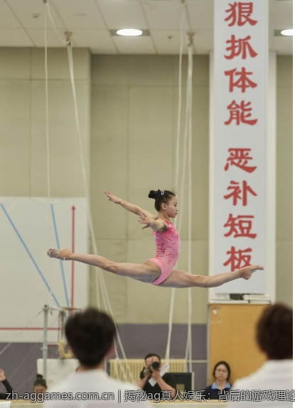 揭秘ag真人娱乐：背后的游戏理论与设计