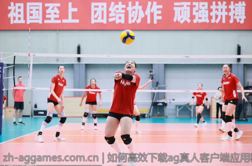 如何高效下载ag真人客户端应用程序