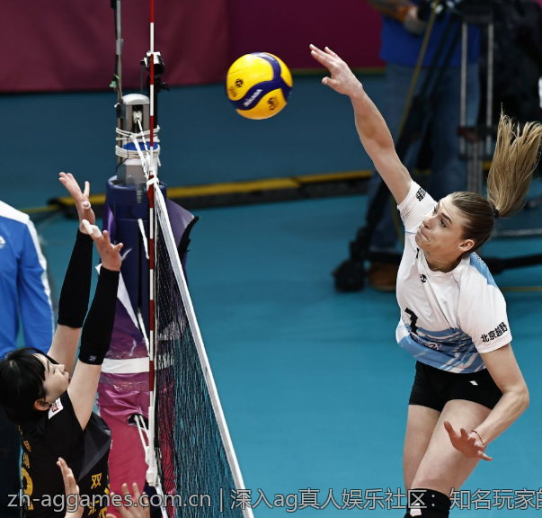 对比ag真人手机版与其他平台的用户体验